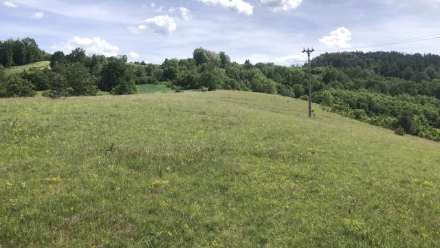 Plac, Prodaja, m2, Sljivovica/Branesci