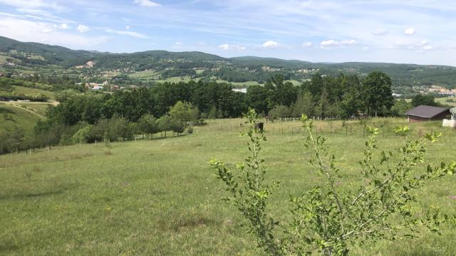 Plac, Prodaja, m2, Sljivovica/Branesci