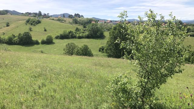 Plac, Prodaja, m2, Sljivovica/Branesci