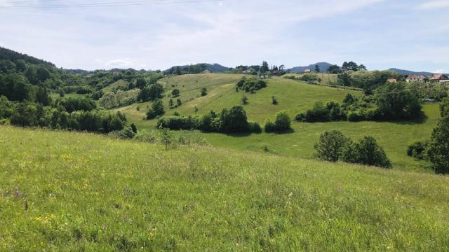 Plac, Prodaja, m2, Sljivovica/Branesci