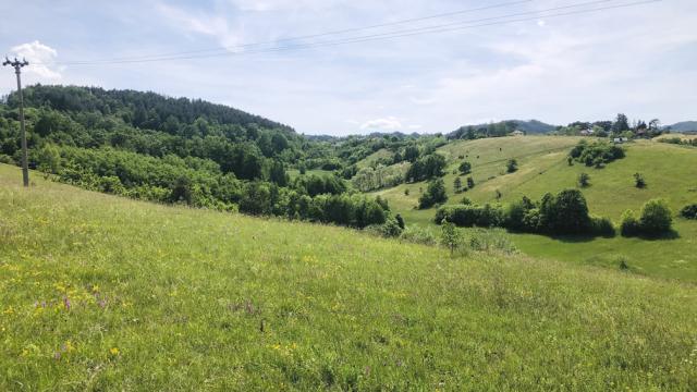 Plac, Prodaja, m2, Sljivovica/Branesci