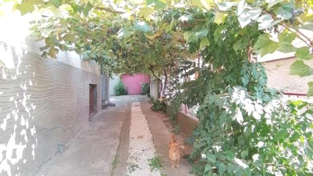 Kuća, Prodaja, 280m2, Bulbulder, Zvezdara, Nerodimska