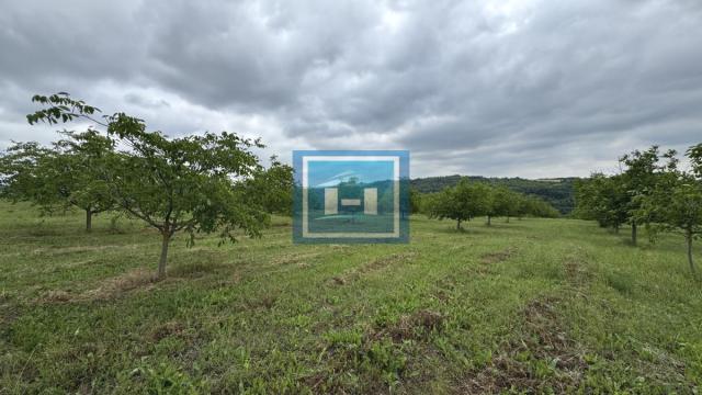 Plac, Prodaja, m2, Stubica, Okolno mesto, Paraćin