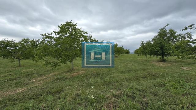 Plac, Prodaja, m2, Stubica, Okolno mesto, Paraćin