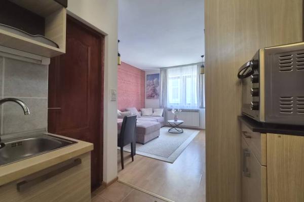 izdavanje, stanova,
beograd, 1113301, garsonjera-petra-lekovica