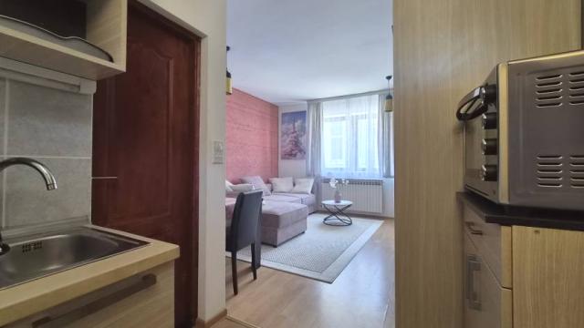 Stan, Garsonjera, Izdavanje, 24m2, Petra Lekovića