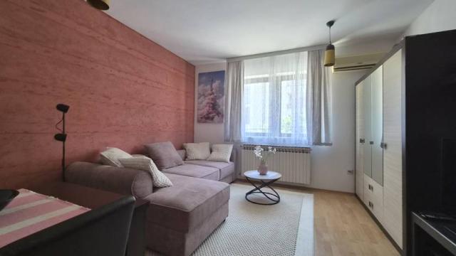 Stan, Garsonjera, Izdavanje, 24m2, Petra Lekovića