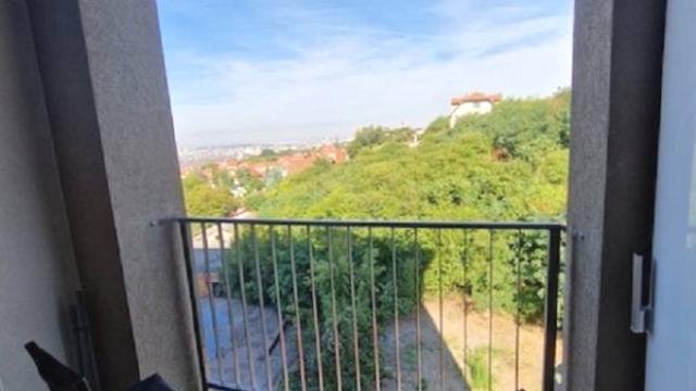 Stan, Dvosoban, Izdavanje, 44m2, Bulevar kralja Aleksandra