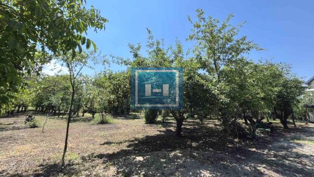 Kuća, četvorosoban, Prodaja, 120m2, Okolno mesto, Paraćin