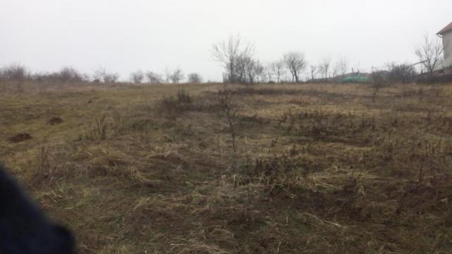 Plac, Prodaja, 9662m2, Ugrinovci, Zemun, Beograd