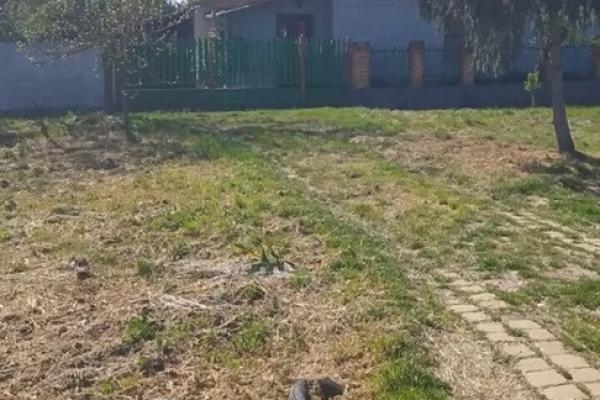 prodaja, kuca,
idjos-opstina-kikinda, 1114958, trosoban-idos