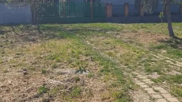 Kuća, Trosoban, Prodaja, 500m2, Idjoš, Okolno mesto, Iđoš