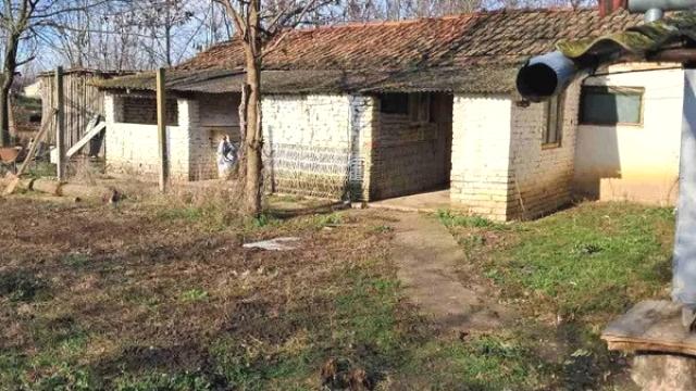 Kuća, Trosoban, Prodaja, 500m2, Idjoš, Okolno mesto, Iđoš