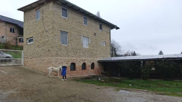 Poslovni prostor, Petosoban i veći, Prodaja, 700m2, Paragovo, Petrovaradin, Paragovo