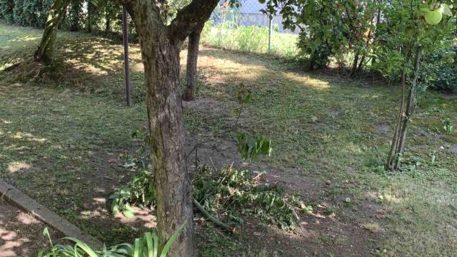 Kuća, Trosoban, Prodaja, 65m2, Veliki Crljeni, Lazarevac, Veliki Crljeni