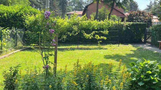 Kuća, Trosoban, Prodaja, 65m2, Veliki Crljeni, Lazarevac, Veliki Crljeni