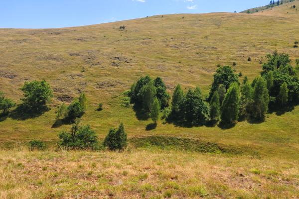 prodaja, plac,
zlatibor, 1117017, veljka-stamatovica