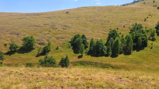 Plac, Prodaja, m2, Veljka Stamatovica