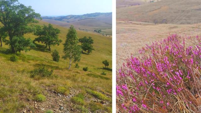 Plac, Prodaja, m2, Veljka Stamatovica