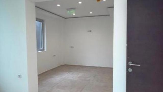 Poslovni prostor, Izdavanje, 440m2, Retenzija, Zemun, Džona Kenedija