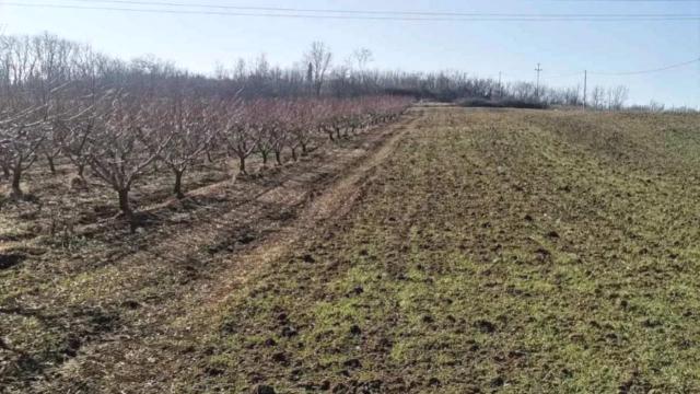 Plac, Prodaja, m2, Dubona, Mladenovac, Varovnickih ratnika