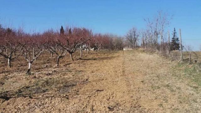 Plac, Prodaja, m2, Dubona, Mladenovac, Varovnickih ratnika