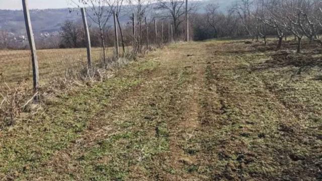Plac, Prodaja, m2, Dubona, Mladenovac, Varovnickih ratnika