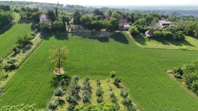 Plac, Prodaja, m2, Krčedin, Okolno mesto, Slankamenacki put