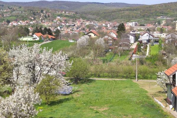 prodaja, plac,
vrdnik-opstina-irig, 1117404, carice-milice