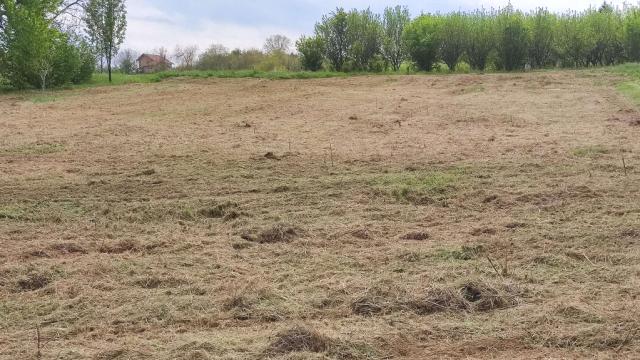 Plac, Prodaja, m2, Vrdnik, Okolno mesto, Carice Milice