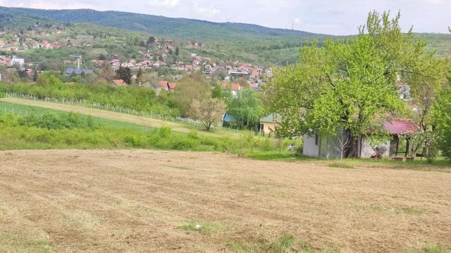Plac, Prodaja, m2, Vrdnik, Okolno mesto, Carice Milice