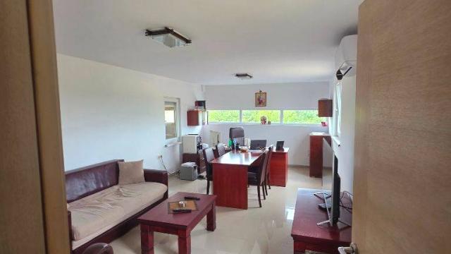 Poslovni prostor, Jednosoban, Prodaja, 500m2, Catin put