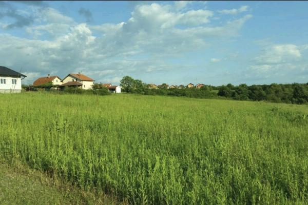 prodaja, plac,
sremcica-cukarica-beograd, 1118213, doljanska