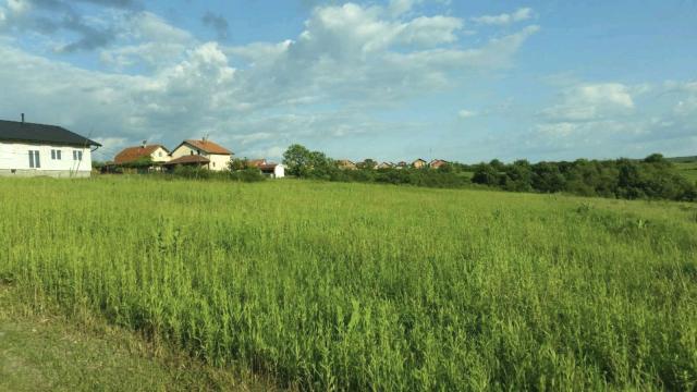 Plac, Prodaja, m2, Sremčica, Čukarica, Doljanska