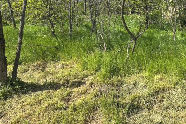 prodaja, plac,
vrsac, 1118458, vrsacki-breg