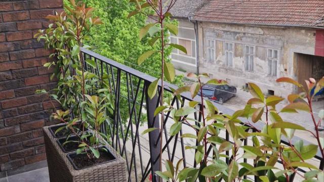 Stan, Jednosoban, Izdavanje, 37m2, Dimitrija Tucovica