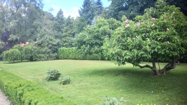 Kuća, Izdavanje, 270m2, Dedinje, Savski venac, Beograd