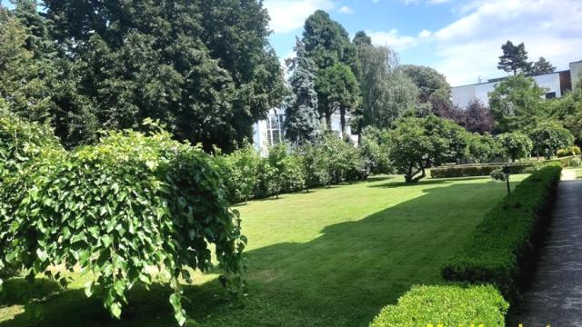 Kuća, Izdavanje, 270m2, Dedinje, Savski venac, Beograd