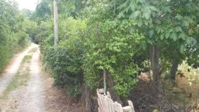Plac, Prodaja, m2, Grocka (mesto), Grocka, Careva glavica