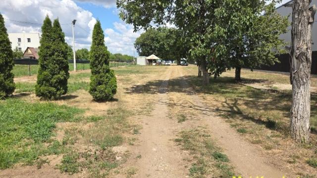 Plac, Izdavanje, m2, Surčin (mesto), Surčin, Vojvođanska