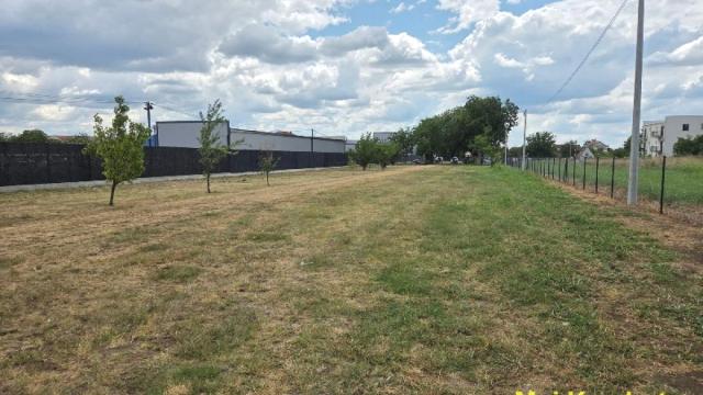 Plac, Izdavanje, m2, Surčin (mesto), Surčin, Vojvođanska