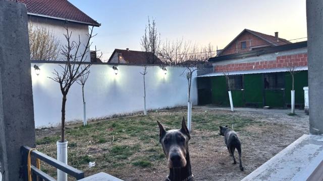 Kuća, Petosoban, Prodaja, 222m2, Borča, Palilula, Put za Ovcu