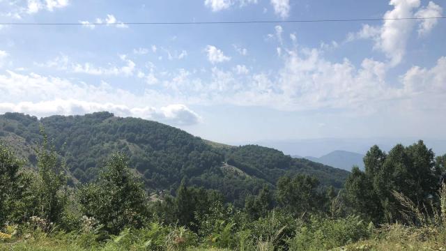Stan, Jednosoban, Prodaja, 33m2, Stefana Prvovencanog