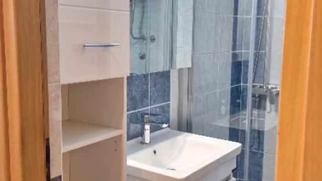 Stan, Garsonjera, Izdavanje, 25m2, Karaburma, Palilula, Homoljska