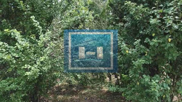Plac, Prodaja, m2, Krežbinac, Okolno mesto, Paraćin