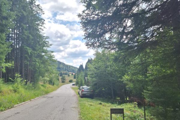 prodaja, plac,
bajina-basta, 1123137, mitrovac-bb