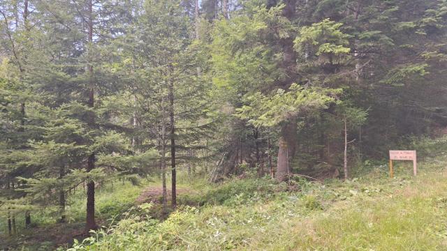 Plac, Prodaja, m2, Mitrovac bb