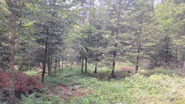 Plac, Prodaja, m2, Mitrovac bb