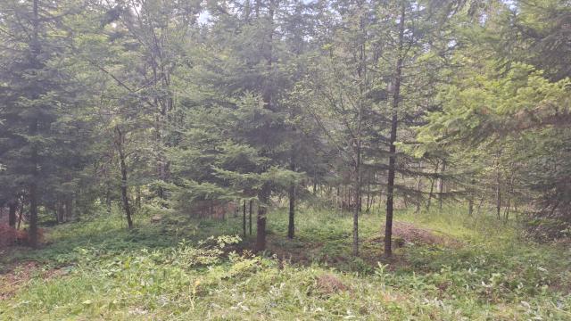 Plac, Prodaja, m2, Mitrovac bb