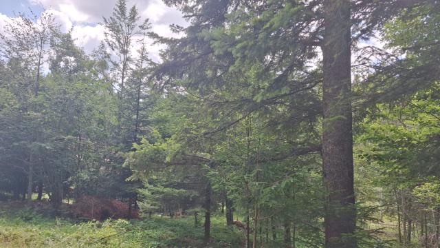 Plac, Prodaja, m2, Mitrovac bb